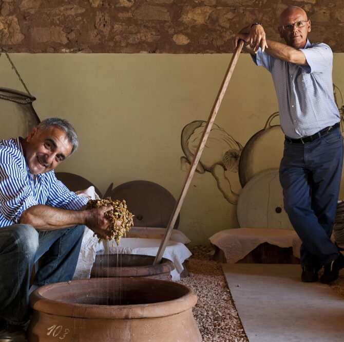 COS vin Sicilia Non Dos