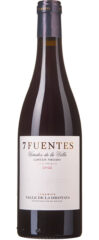 Suertes del Marqués 7 Fuentes