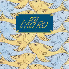 Carussin Moscato Secco KeyKeg 20L