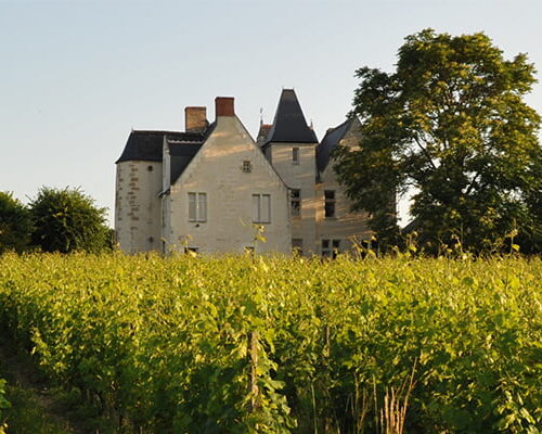 Château De La Roche En Loire